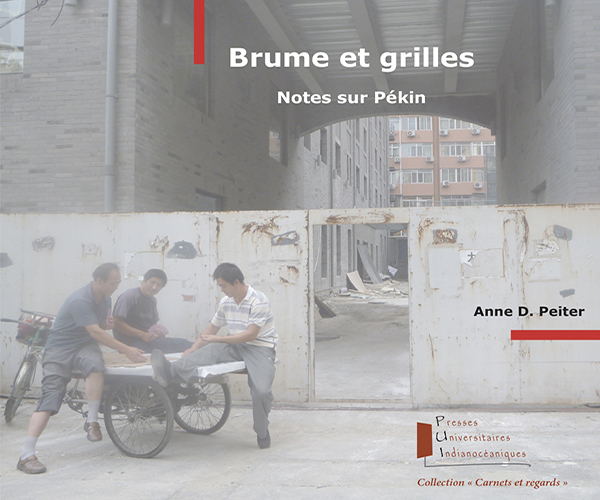 Brume et grilles