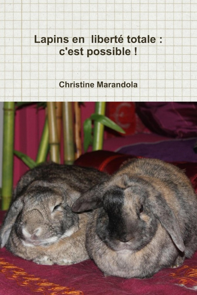 Lapins en  liberté totale : c'est possible !