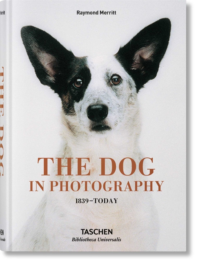 The Dog in Photography 1839–Today
