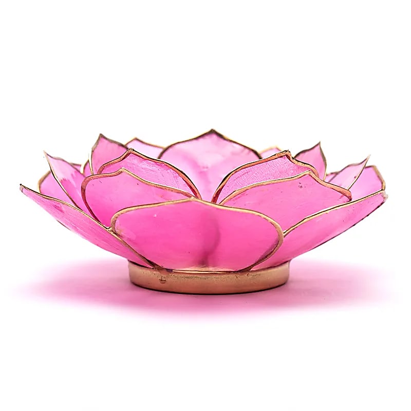 Lumière dámbiance pétale Lotus rose bordure or