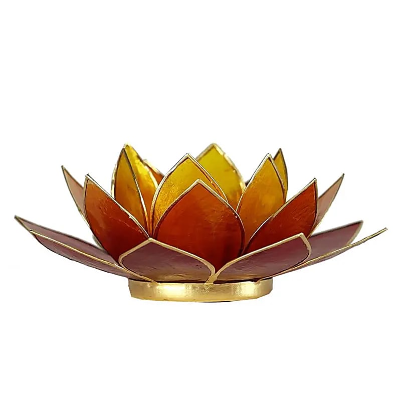 Eclairage Lotus 3 couleurs bordure dorée
