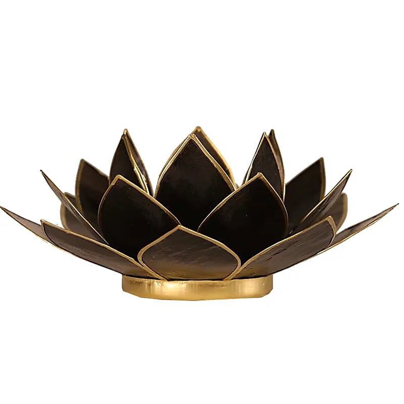 Eclairage Lotus noir foncé bord noir