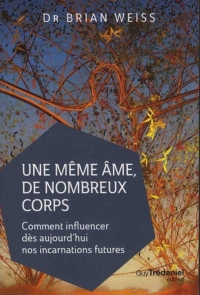 Une même âme de nombreux corps - Comment influencer dès aujourd'hui nos incarnations futures