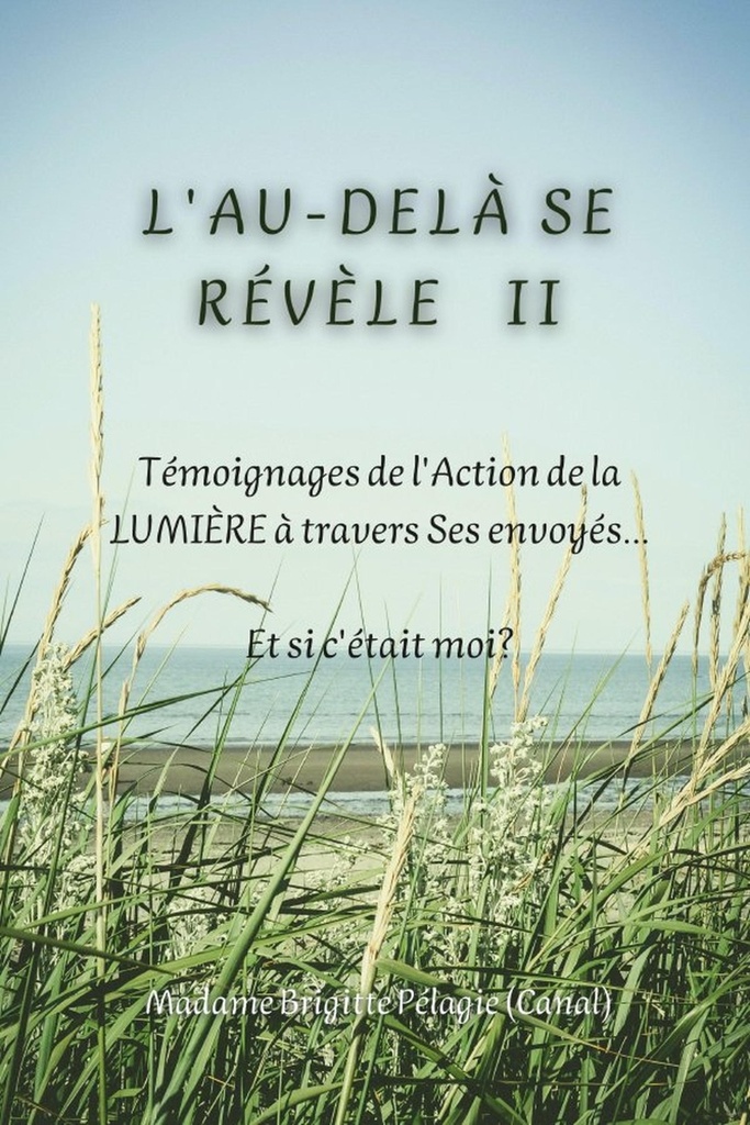 L'AU-DELÀ SE RÉVÈLE II  (couverture souple)