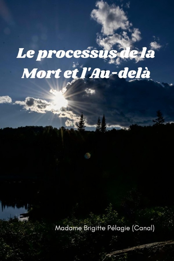 LE PROCESSUS DE LA MORT ET L'AU-DELÀ (couverture souple)