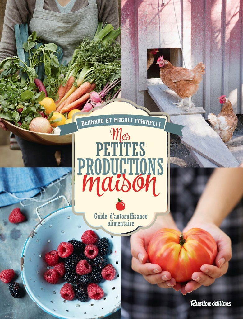 [9782815306188] Mes petites productions maison