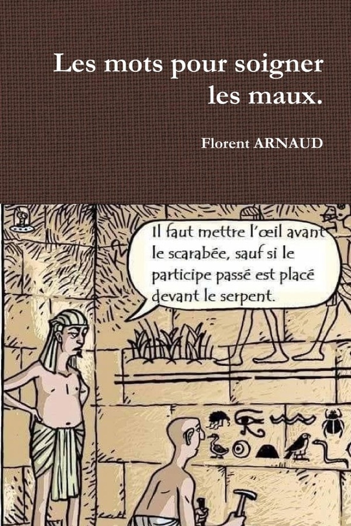 [9780244202989] Les mots pour soigner les maux.