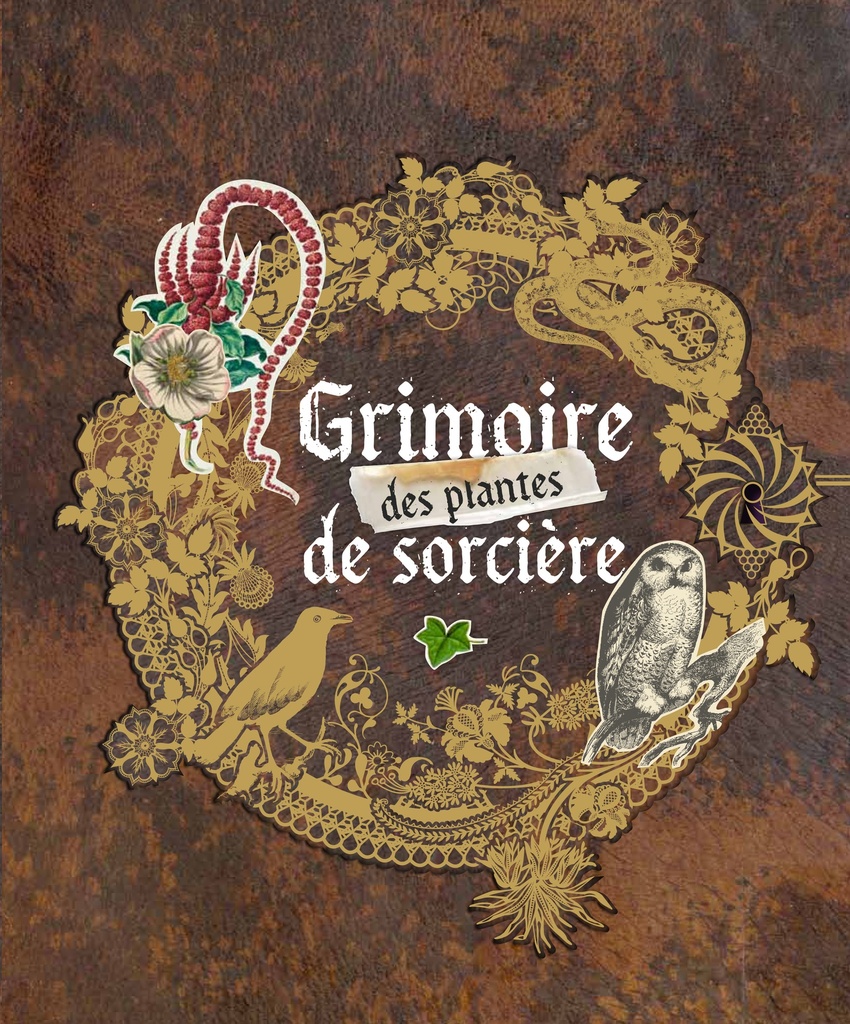 [9782815303736] GRIMOIRE DES PLANTES DE SORCIERES