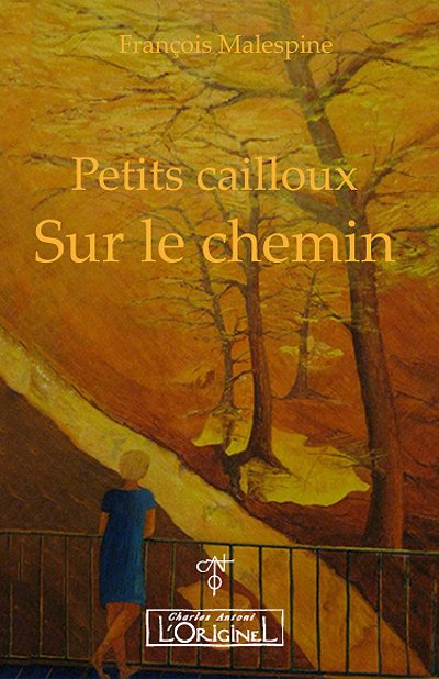Petits cailloux sur le chemin