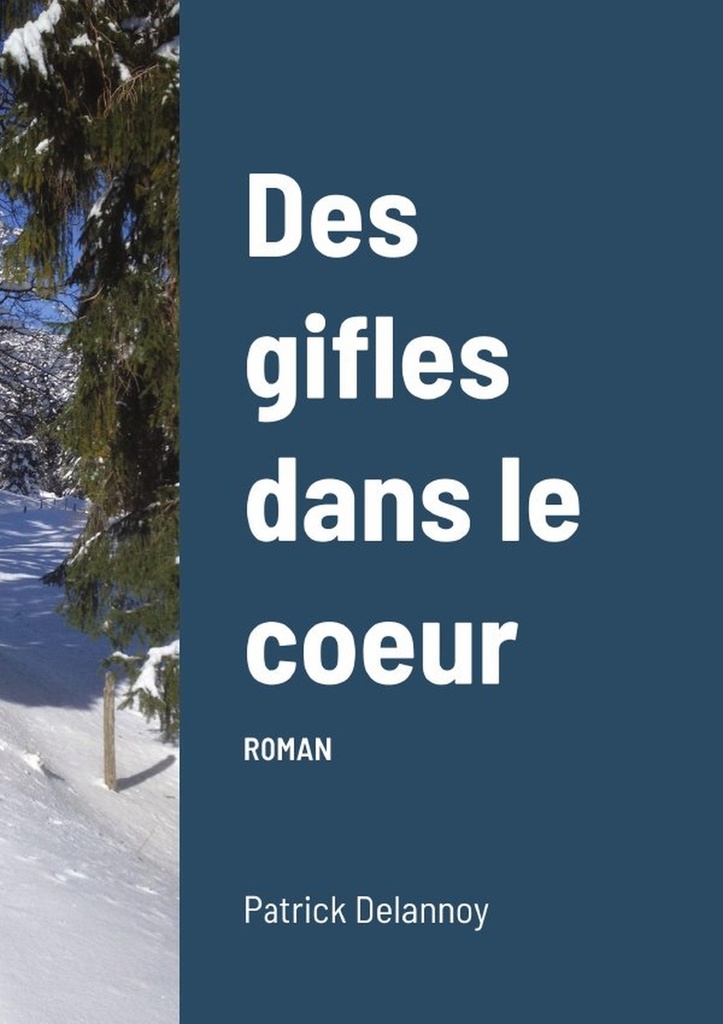 [9781304602596] Des gifles dans le coeur