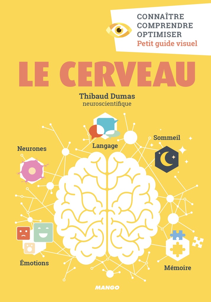 Le cerveau