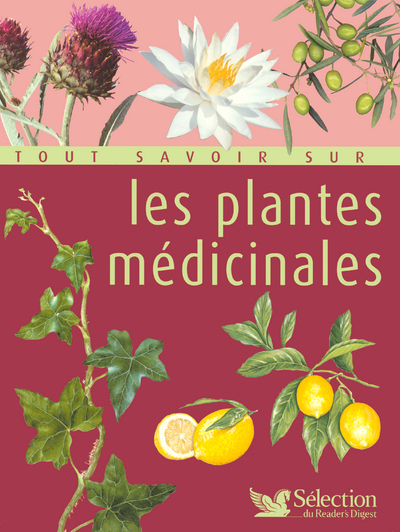 Tout savoir sur les plantes médicinales