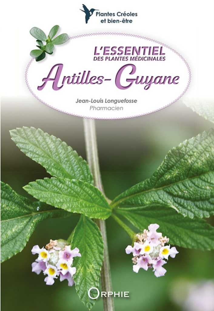 L'essentiel des plantes médicinales Antilles-Guyane