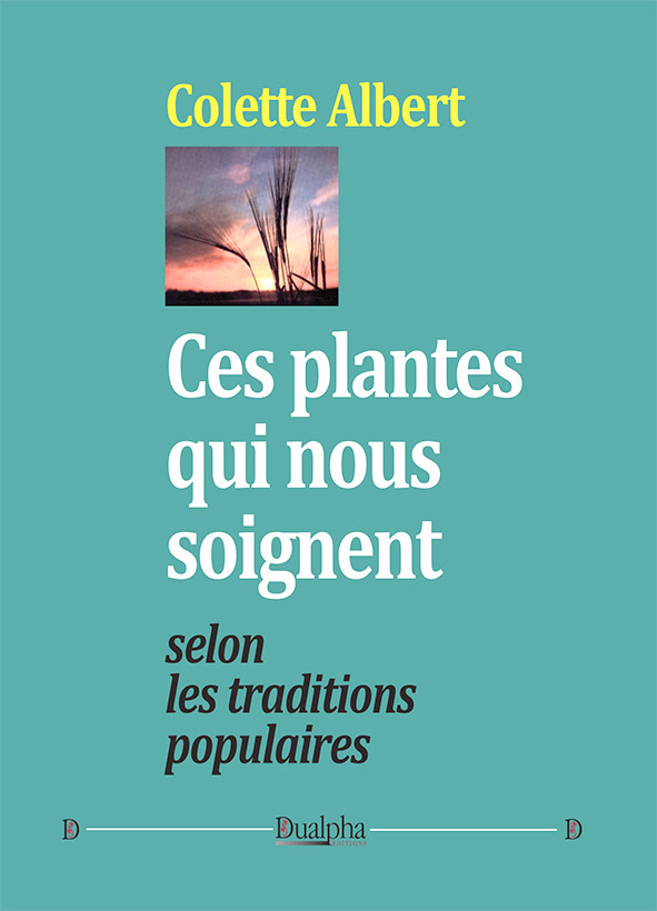 Ces plantes qui nous soignent selon les traditions populaires
