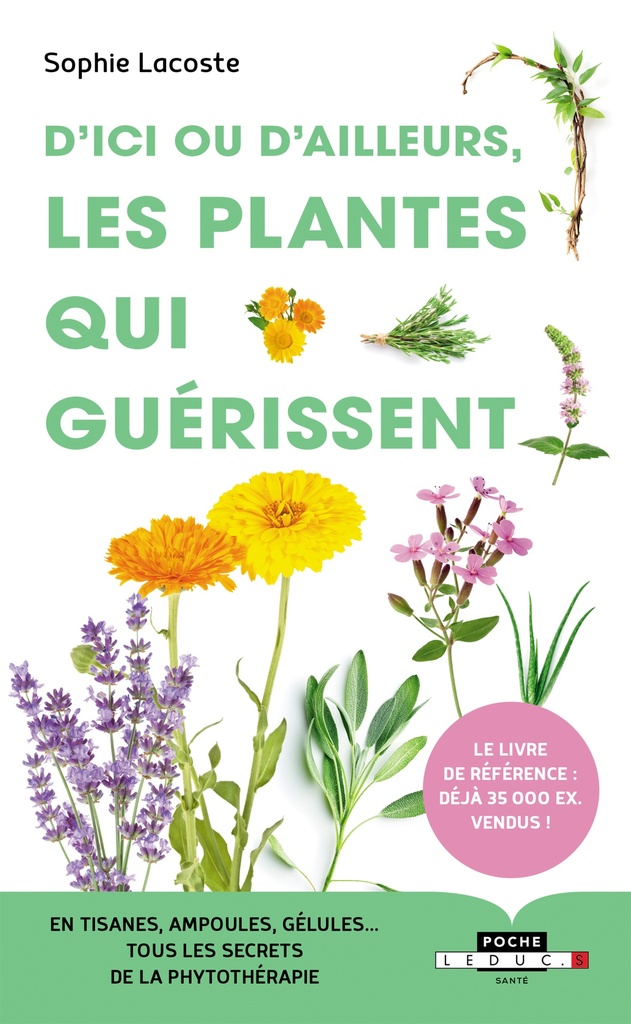 D'ici ou d'ailleurs, les plantes qui guérissent