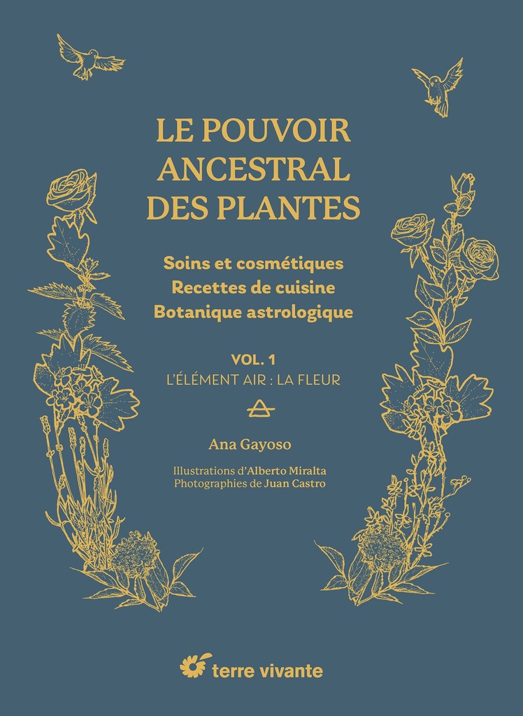 Le pouvoir ancestral des plantes