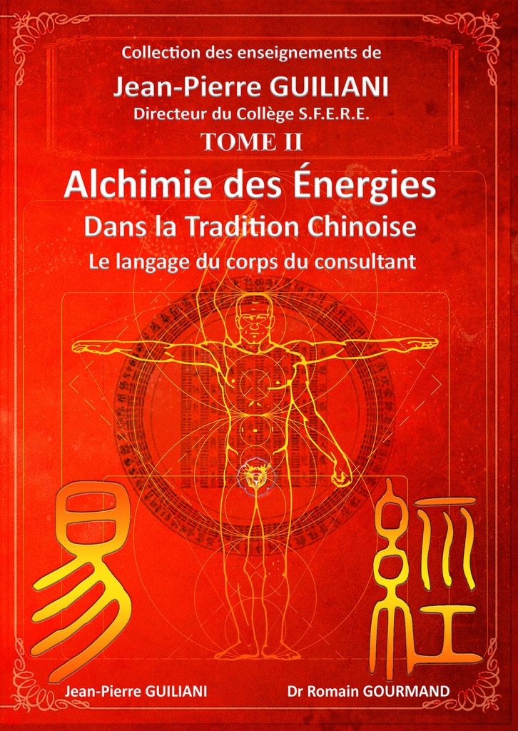 Alchimie des énergies dans la Tradition chinoise Tome 2 - Le langage du corps du consultant