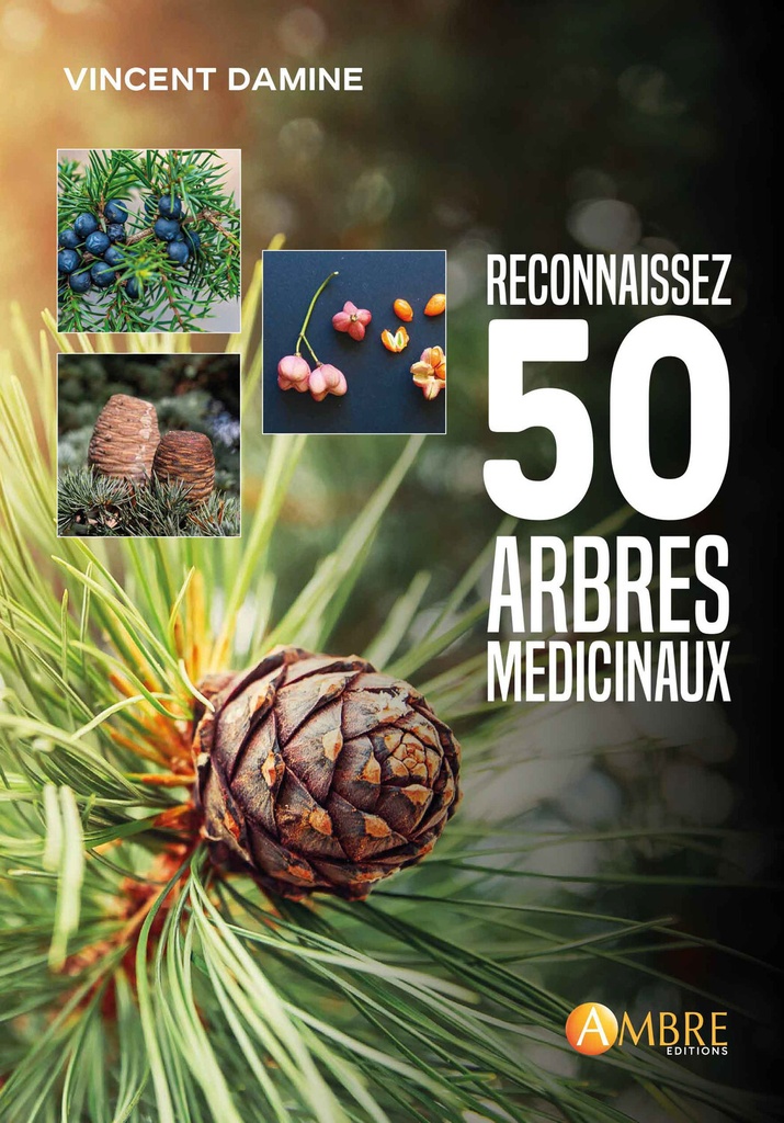 Reconnaissez 50 arbres médicinaux