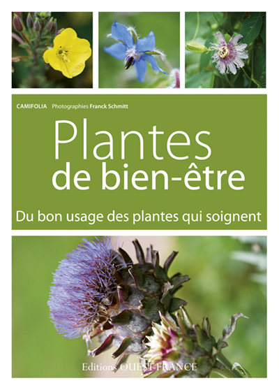 Plantes de bien-être