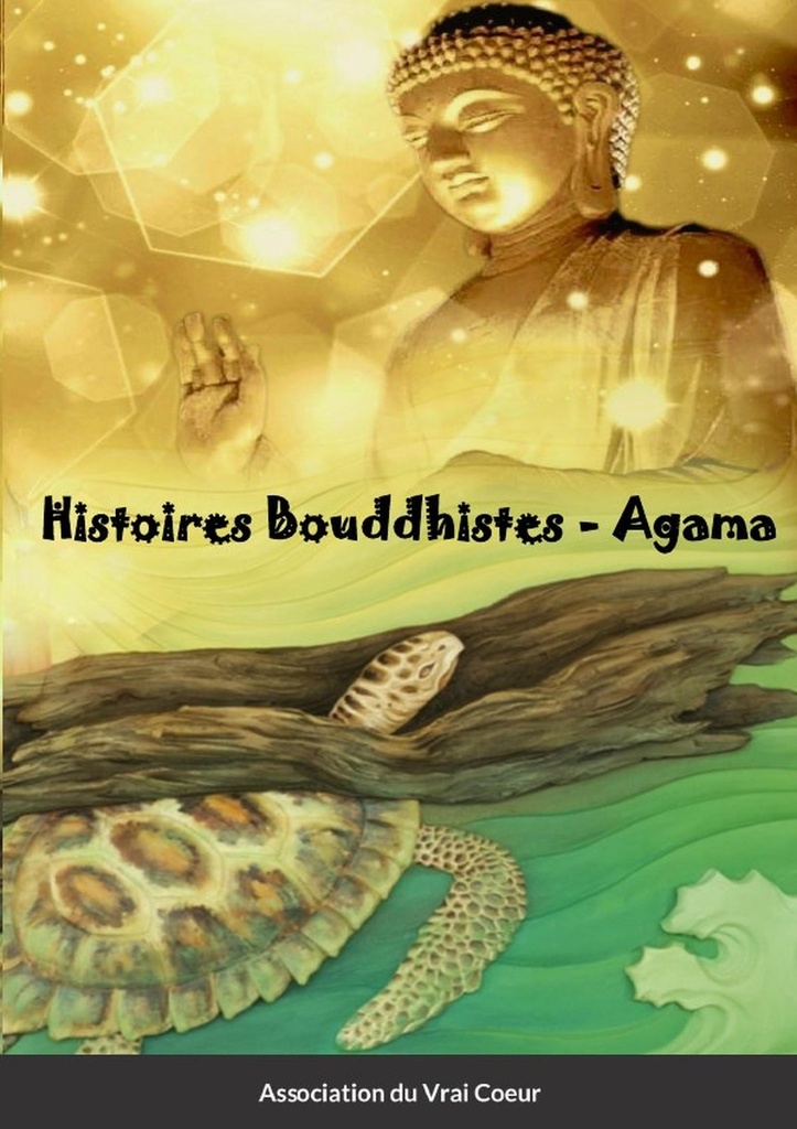 [9781667105055] Histoires Bouddhistes - Agama