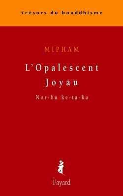 [9782213617343] L'Opalescent Joyau