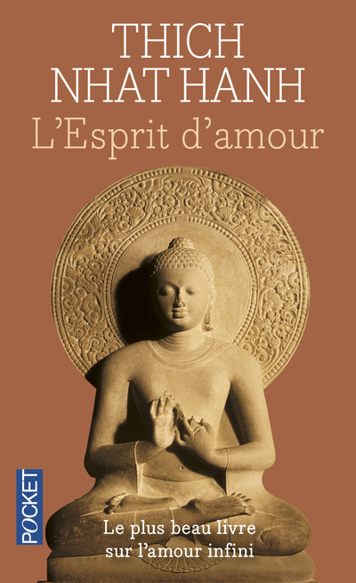 [9782266179416] L'esprit d'amour