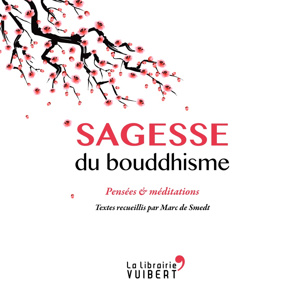 [9782311101461] Sagesse du bouddhisme