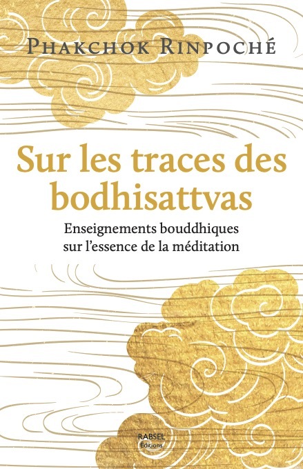 [9791093883694] Sur les traces des bodhisattvas