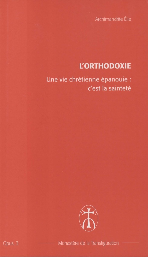 Une vie chrétienne épanouie : c'est la sainteté