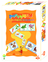 JEU DU SINGULIER ET DU PLURIEL