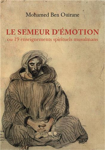 SEMEUR D'éMOTION: 19 MEDITATIO