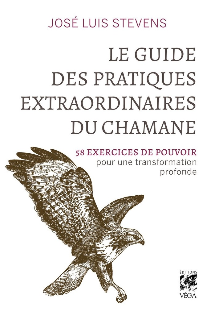 Le Guide des pratiques extraordinaires du chamane