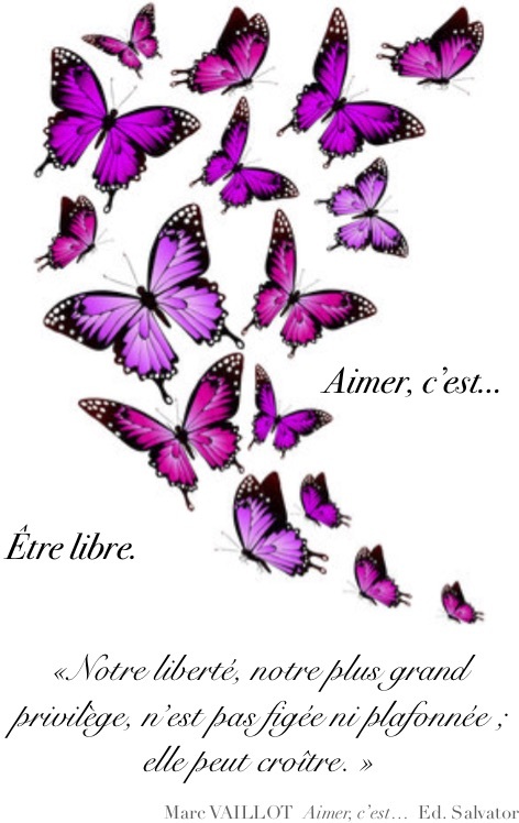 Carnet A6 Papillons Été Framboise