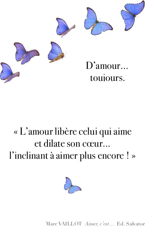 Carnet A6 Papillons Été Envolée Bleu