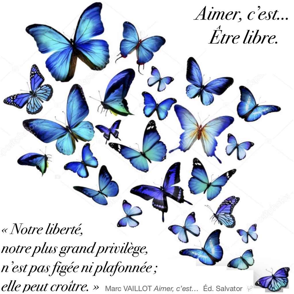 Sac Papillons Printemps Bleu