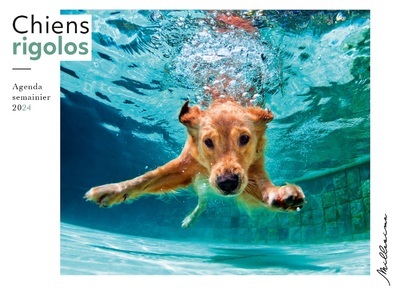 Semainier 2024 - Chiens rigolos