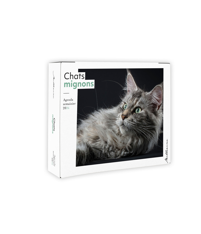 Semainier 2026 - Chats mignons