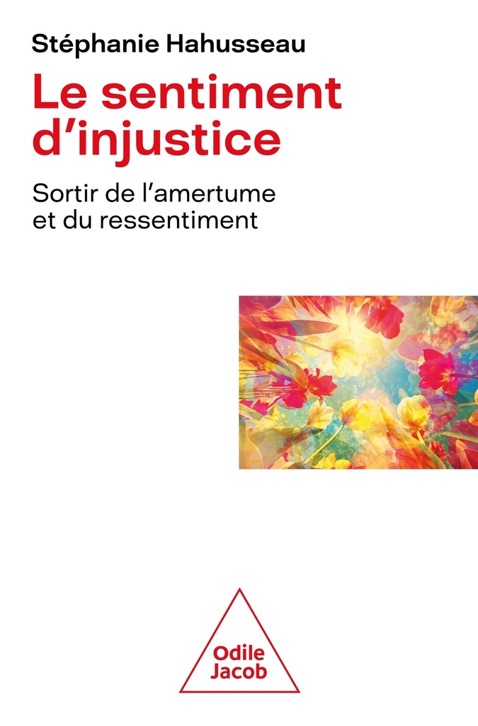 Le Sentiment d'injustice