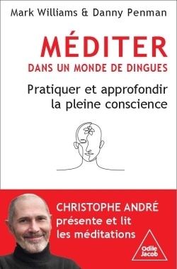 Méditer dans un monde de dingues