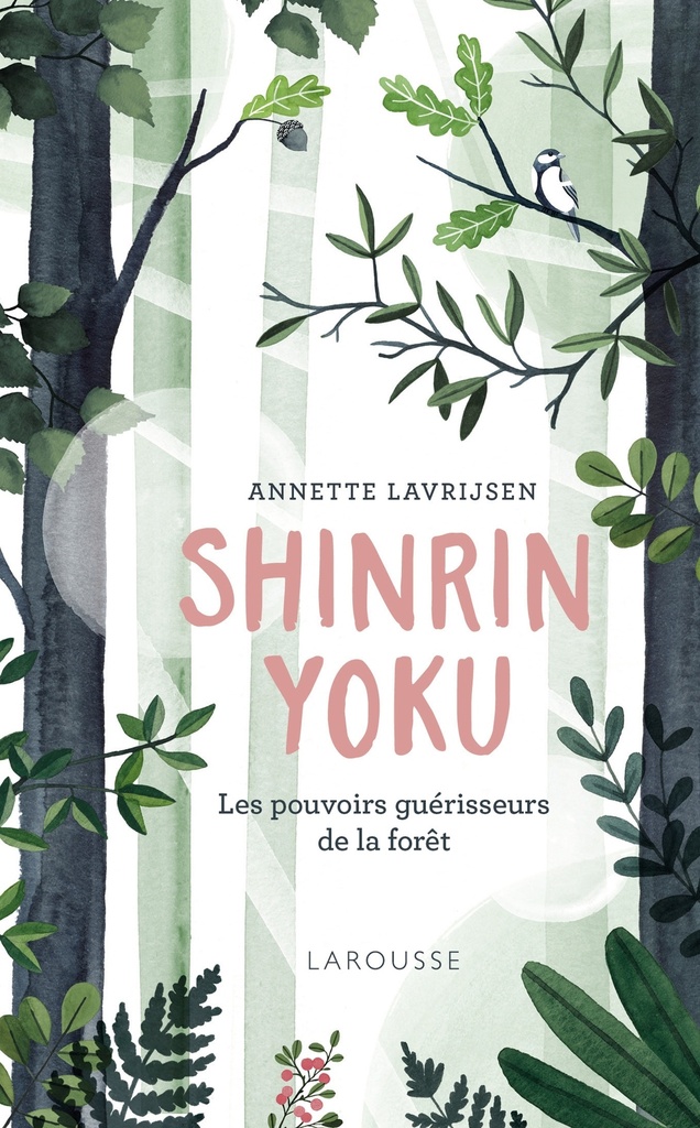 Shinrin Yoku, la forêt qui guérit le corps et l'esprit