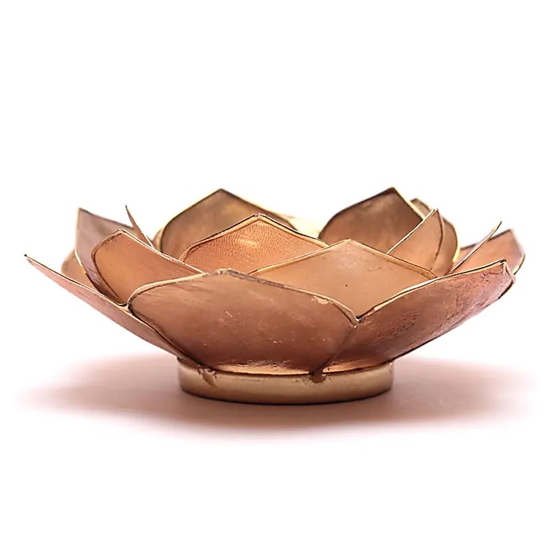 Lumière d'ambiance pétale Lotus fumé/beige bordure or --13.5cm