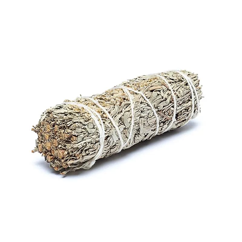 Sauge Shasta Smudges de S set de 2 -- ±10-11cm; ±25-35g