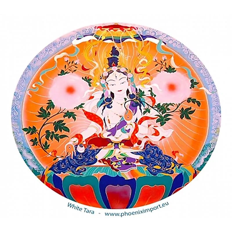 Adhésif verre/fenêtre Tara Blanche -- 11.7cm