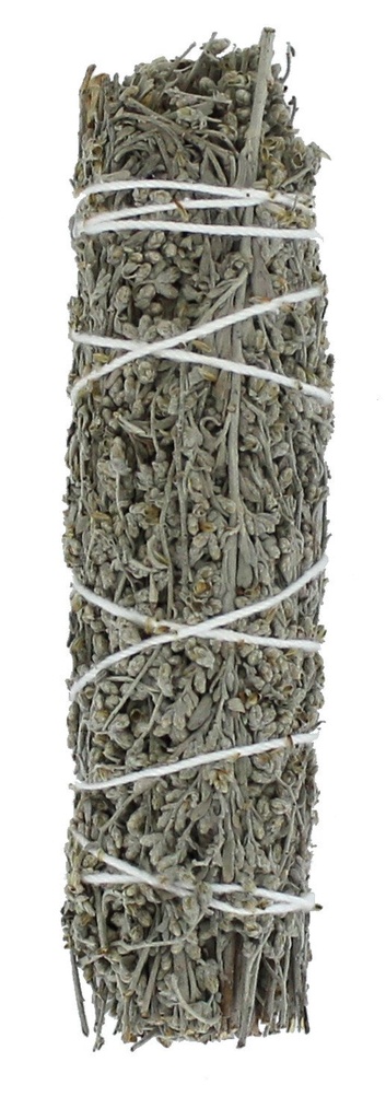 Sauge Bleue Shasta Green Tree Bâton purificateur