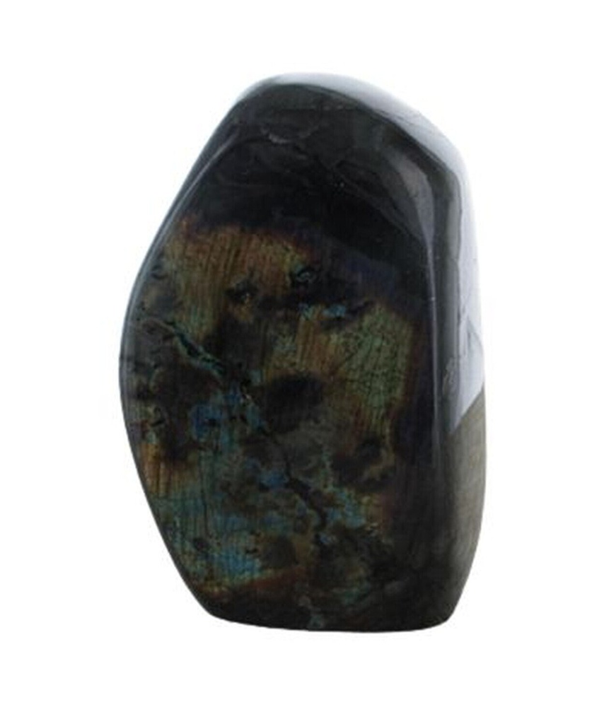 Forme Libre Spectrolite Polie - Pièce de 200 à 500 Gr